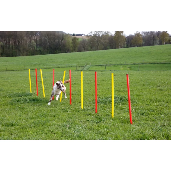 Komplett kutyás agility szett 3 részes