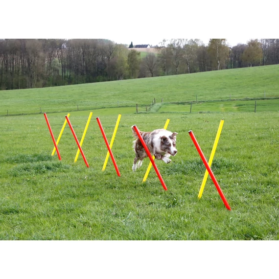Komplett kutyás agility szett 3 részes