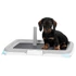 Puppy training szett