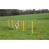 Komplett kutyás agility szett 3 részes