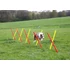Komplett kutyás agility szett 3 részes