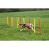 Komplett kutyás agility szett 3 részes